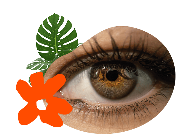 Ilustración hero de Sobre PRH